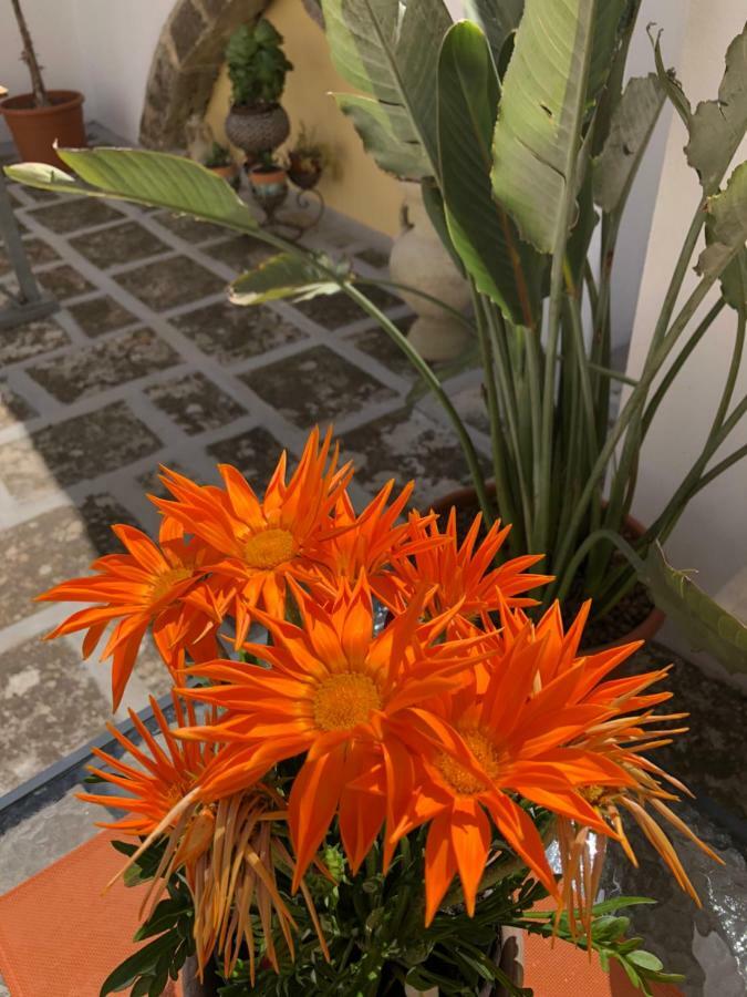 Corte La Rosa Nardò Eksteriør billede